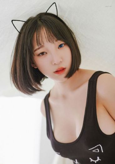 暗影刺客樱花动漫免费
