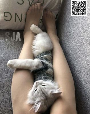 我和朋友的妈妈