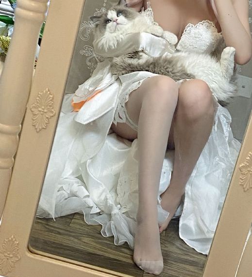 少年四大名捕张翰电视剧免费观看