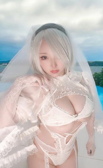 梅花儿香电视剧免费全集