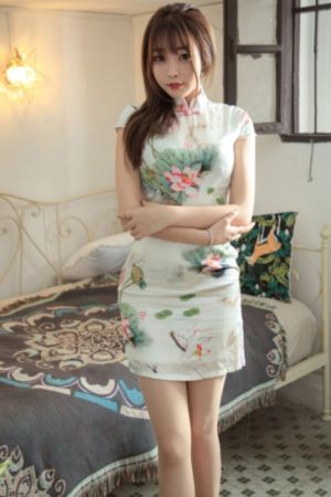 狐妖小红娘镜花缘篇
