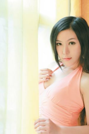 黑狐之风影电视剧