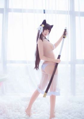 爱国者