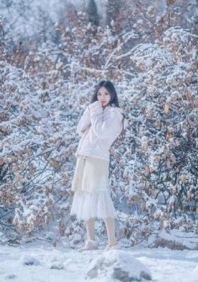 远山的呼唤电影